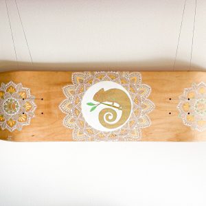 Skateboard recyclé - Caméléon