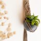 Suspension mini plante en macramé