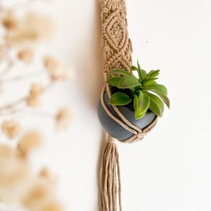 Suspension mini plante en macramé