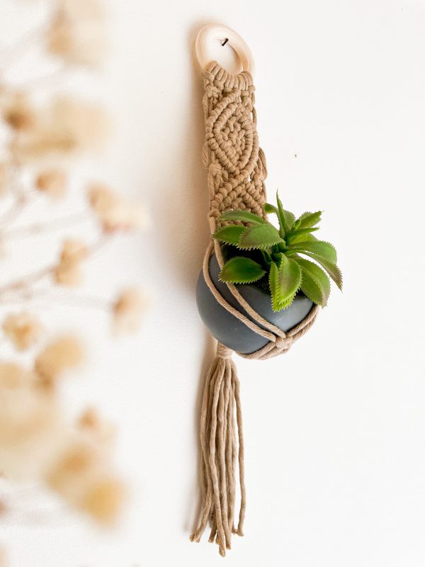 Suspension mini plante en macramé