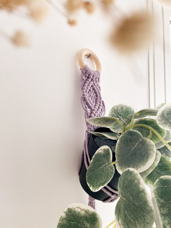 Mini suspension pour plante lavande_02 Mini suspension pour plante lavande_02