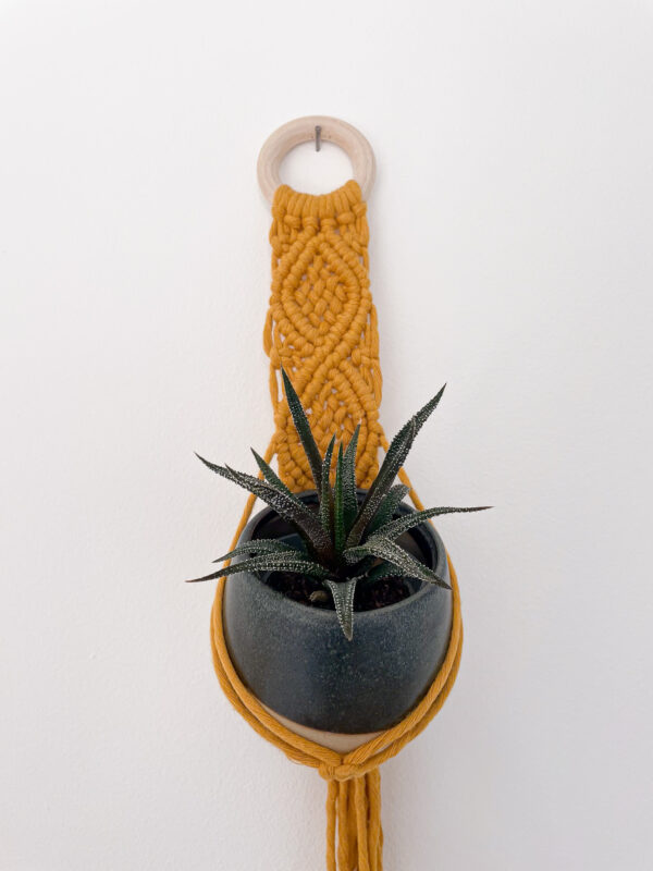 Suspension pour mini plante en macramé jaune moutarde Suspension mini plante en macramé