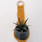 Suspension mini plante en macramé