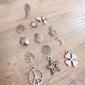 Breloque en acier inoxydable argenté