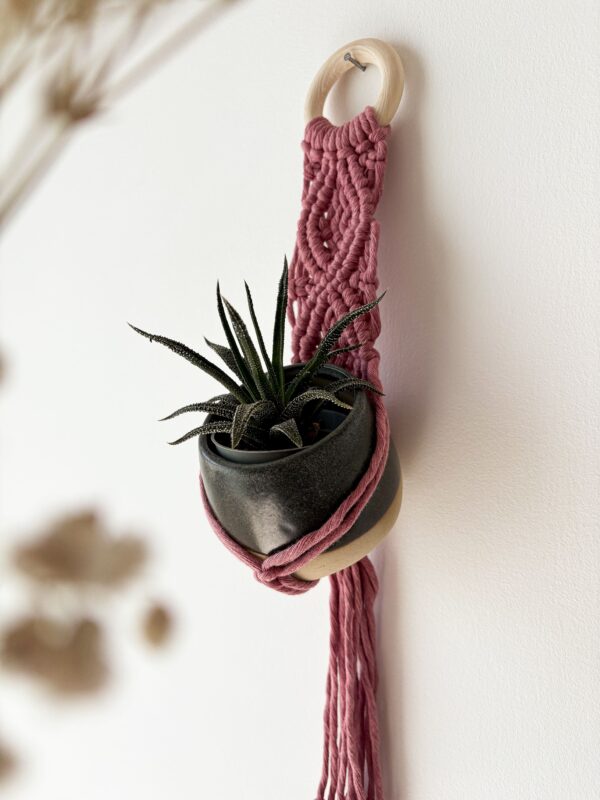 Petite suspension pour plante rose fleur_01 Petite suspension pour plante rose fleur_01