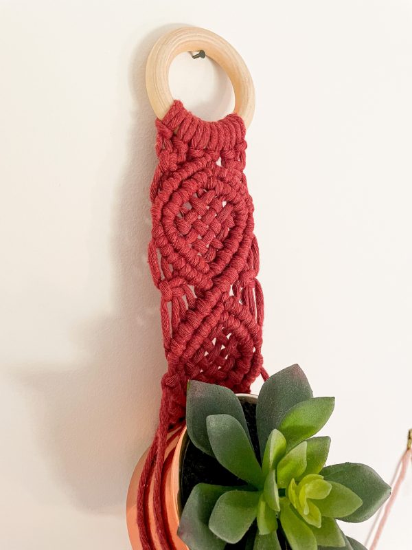 Suspension pour plante rose sauvage Suspension mini plante en macramé
