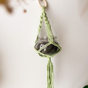 Suspension petite plante en macramé