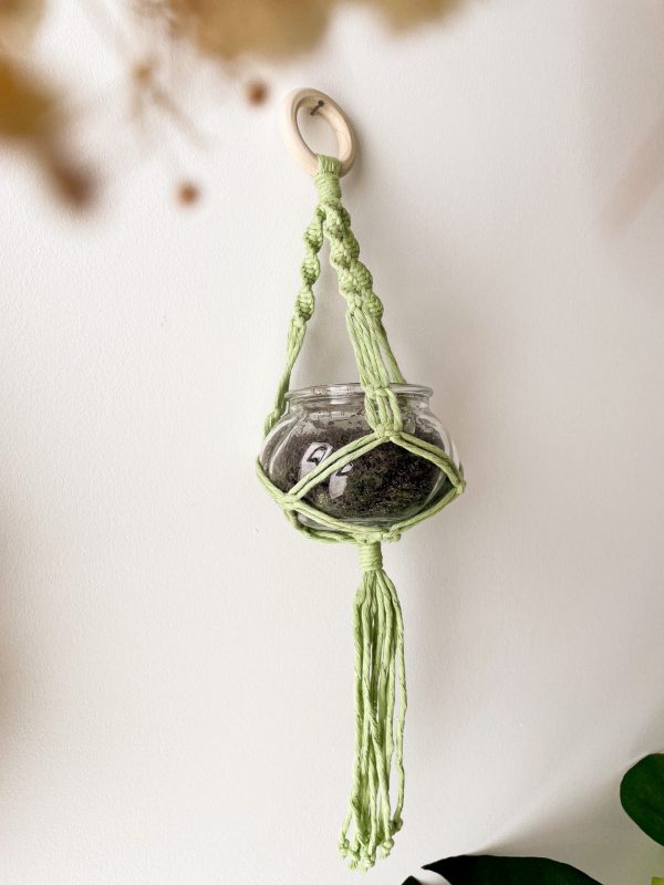 Suspension petite plante en macramé