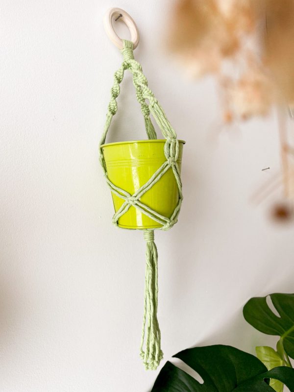 Suspension petite plante en macramé_02 Suspension petite plante en macramé