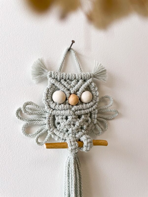 Bébé hibou vert pastel_01 Bébé hibou vert pastel_01