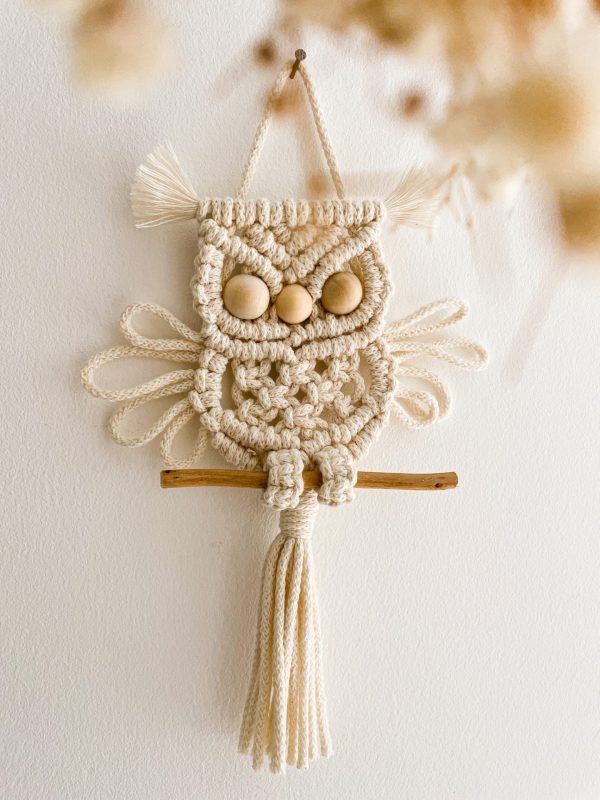 bébé hibou_02 bébé hibou_02