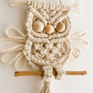 bébé hibou_03