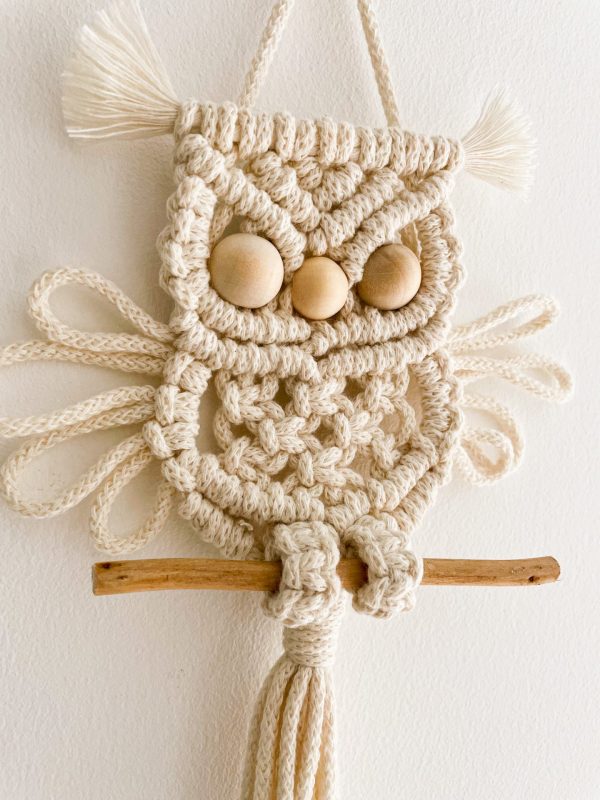 bébé hibou_03 bébé hibou_03
