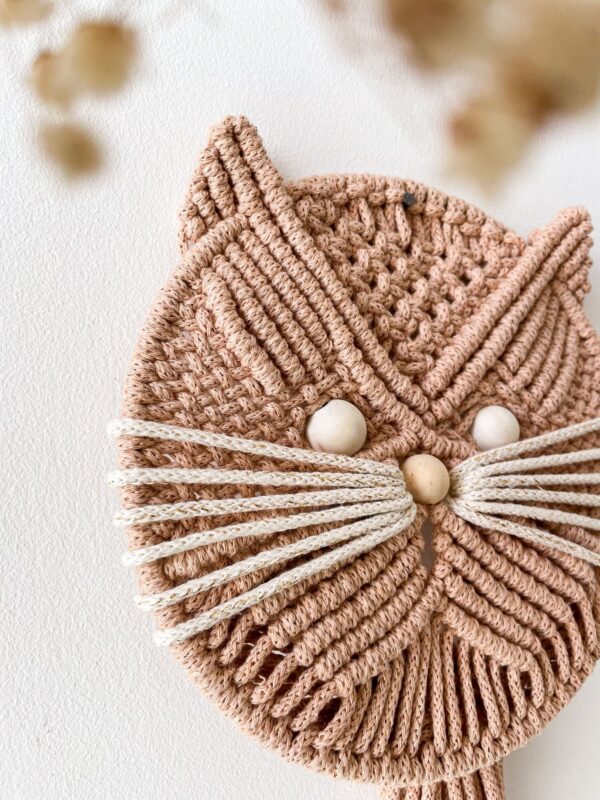 Chat biscuit_01 Chat biscuit_01