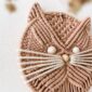 Chat biscuit_01
