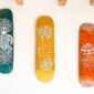 Planche de skate recyclé customisation animaux marins