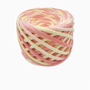 Fils tshirt dégradé Rainbow