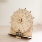 Roue de la fortune sur mesure en bois_05