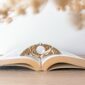 Bague de lecture monstera02